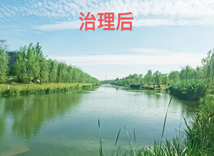 ��ҳ - ŷ��ABG���Źٷ���վ